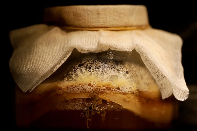 Fermented Foods: Health Benefits and How to Make Them
