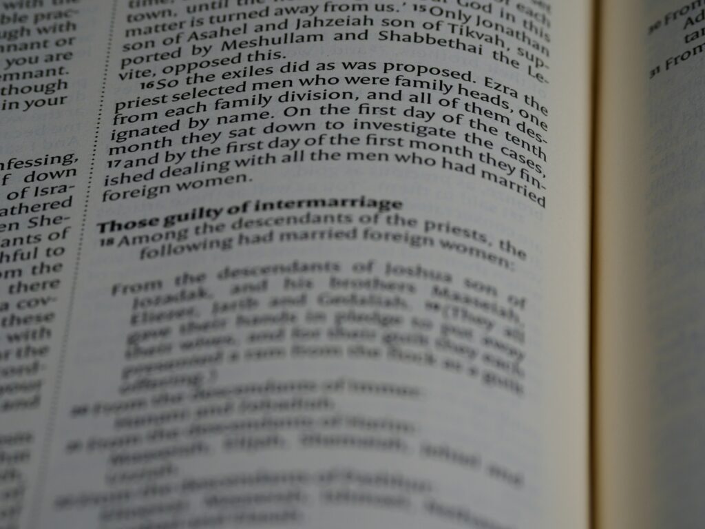 The Importance of Macronutrients in Your Daily Meals