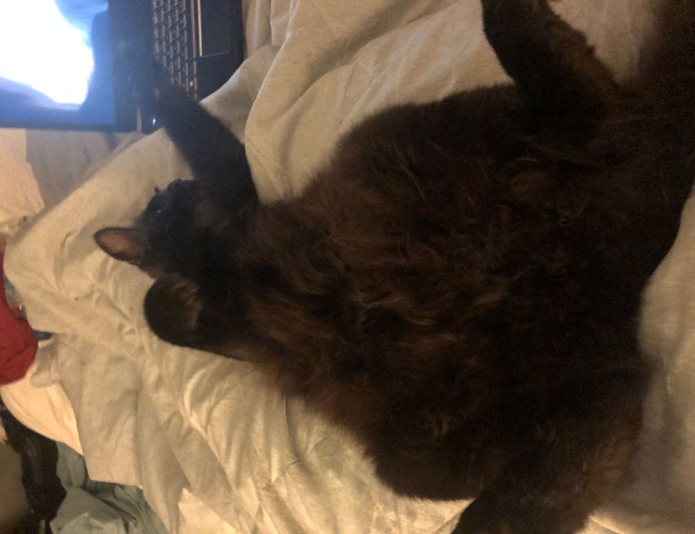 easy healthy recipes heartarkable