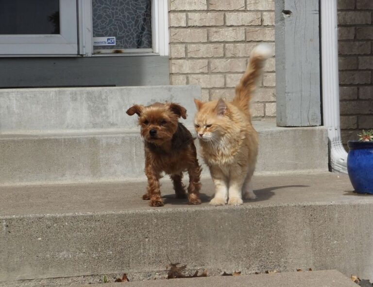 fhthblog quick recipes from fromhungertohope