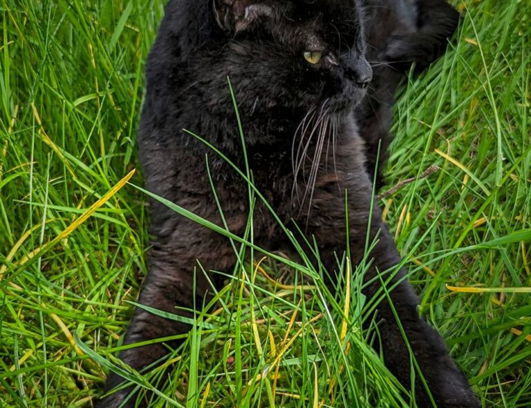 food trends heartarkable