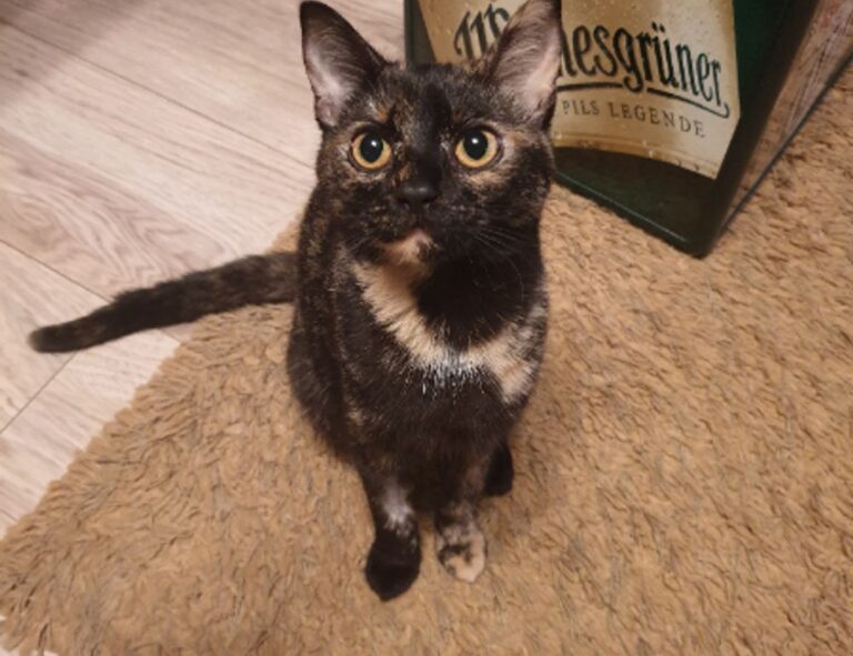 healthy food hacks ontpdiet