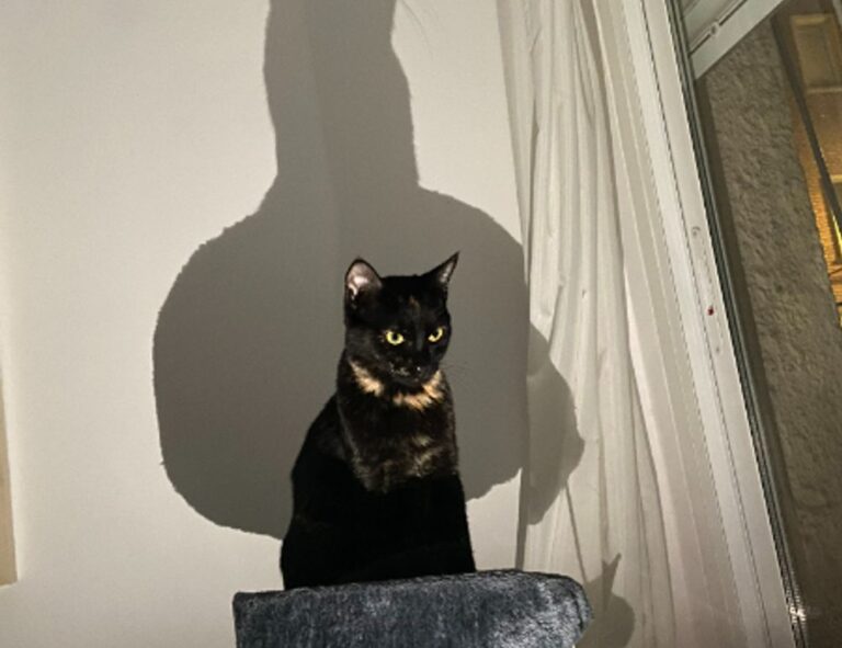 healthy recipes heartarkable