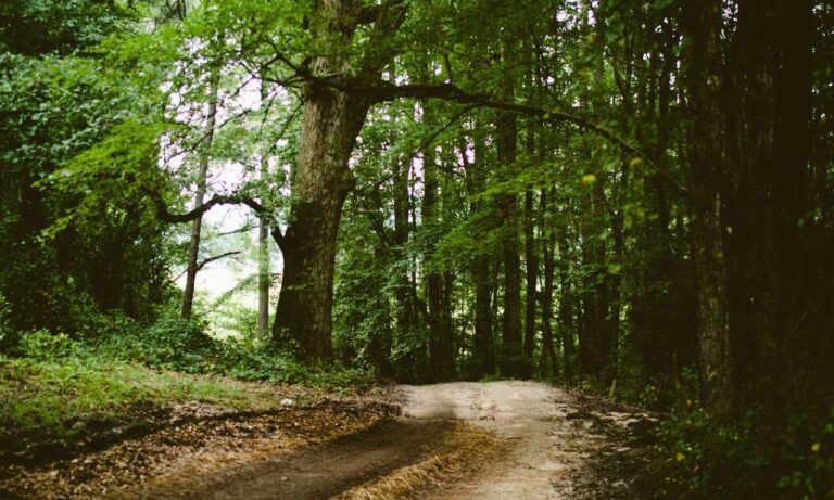 heartarkable cooking guide from homehearted