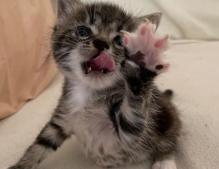 how to cook ethnic food tbfoodtravel