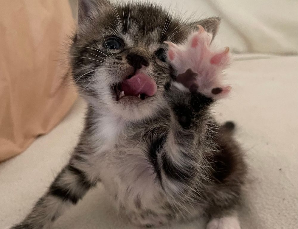 how to cook ethnic food tbfoodtravel