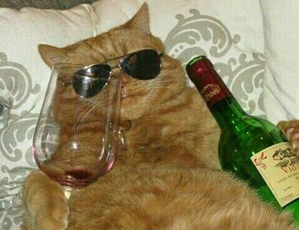 how to cook lightly ontpdiet