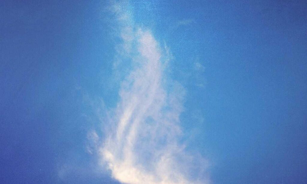 how to prepare brunch fhthfoodcult