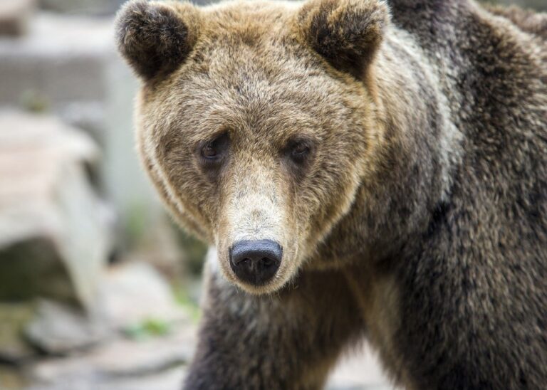 latest food trends ontpdiet