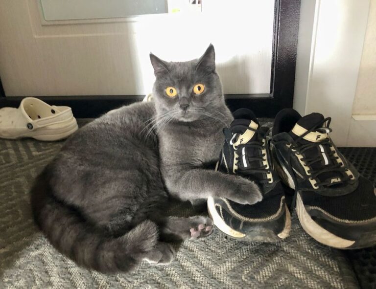 ontpdiet best food hacks by ontpress