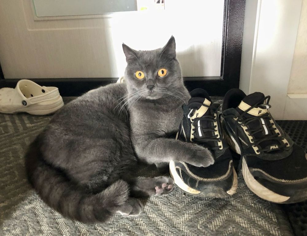 ontpdiet best food hacks by ontpress