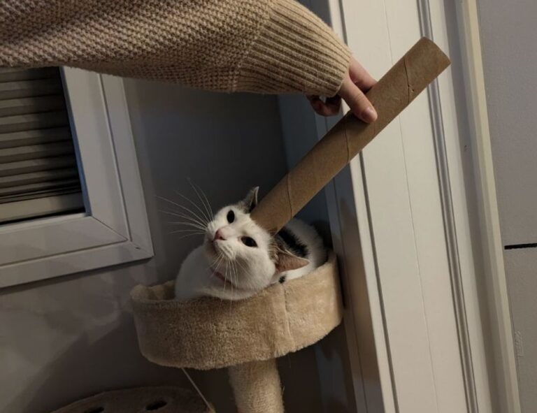 what makes a recipe nutritious fhthblog