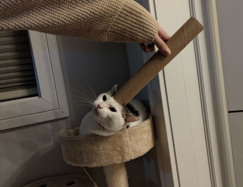 what makes a recipe nutritious fhthblog