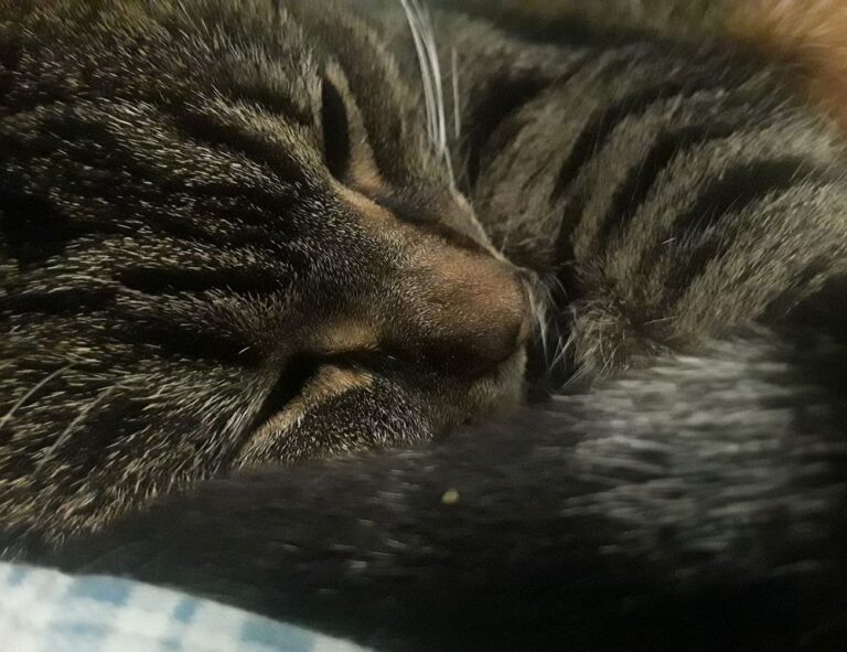 which gourmet destination to choose tbfoodtravel