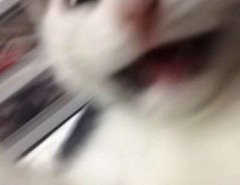 why fast food is not nutritious fhthblog