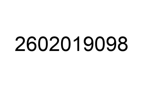 2602019098