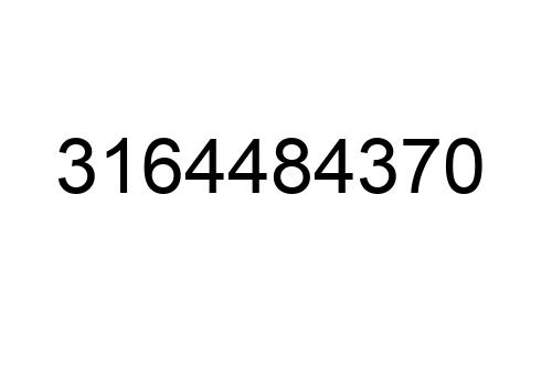 3164484370