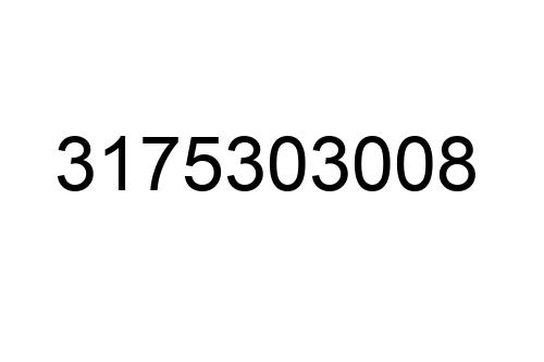 3175303008
