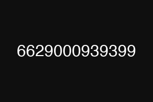 6629000939399