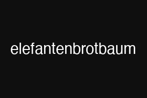elefantenbrotbaum