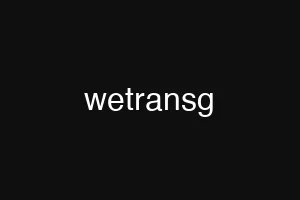 wetransg