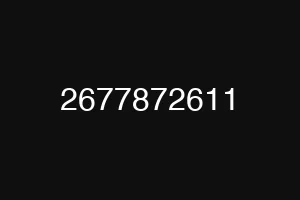 2677872611