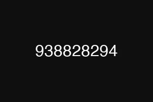 938828294