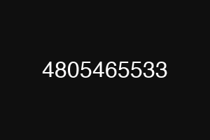 4805465533