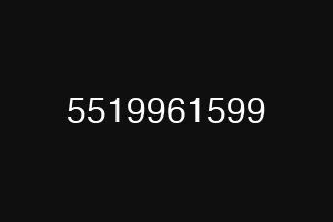 5519961599