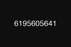6195605641
