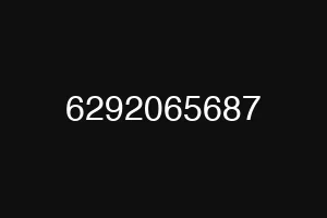 6292065687