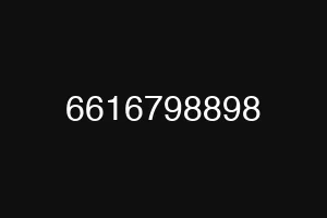 6616798898