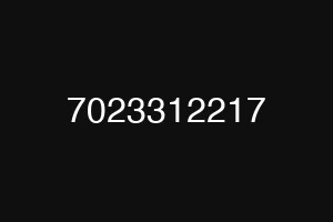 7023312217
