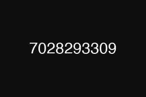 7028293309