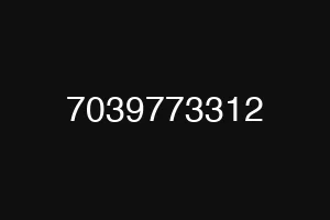 7039773312