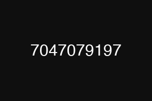 7047079197