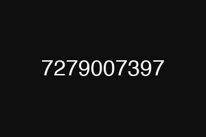 7279007397
