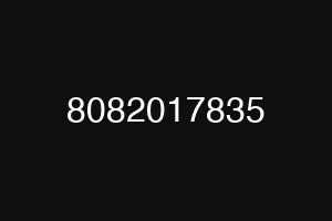8082017835