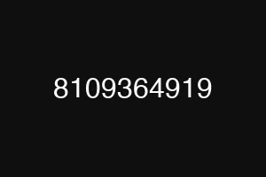 8109364919