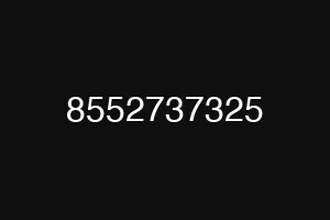 8552737325