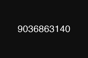 9036863140